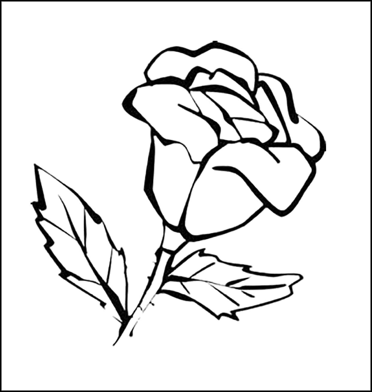 Coloring Graceful rose. Category flowers. Tags:  Flowers, roses.