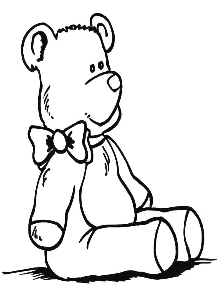 Coloring Bear. Category toy. Tags:  Toy, bear.