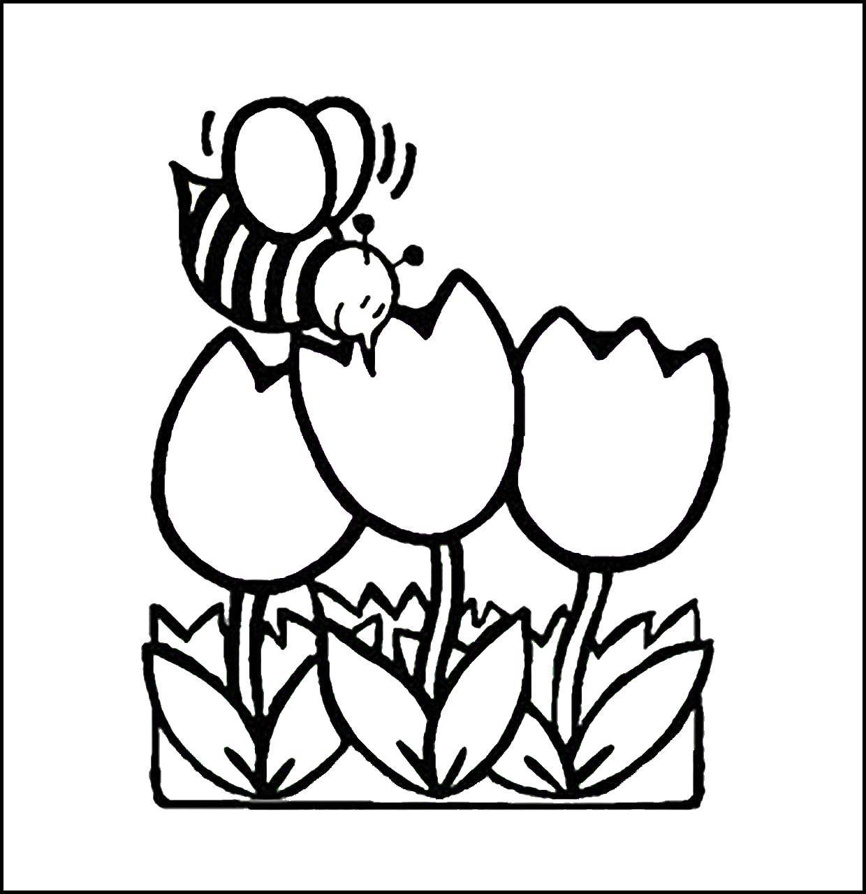 Coloring Bee on tulips. Category Coloring pages for kids. Tags:  Flowers, tulips.