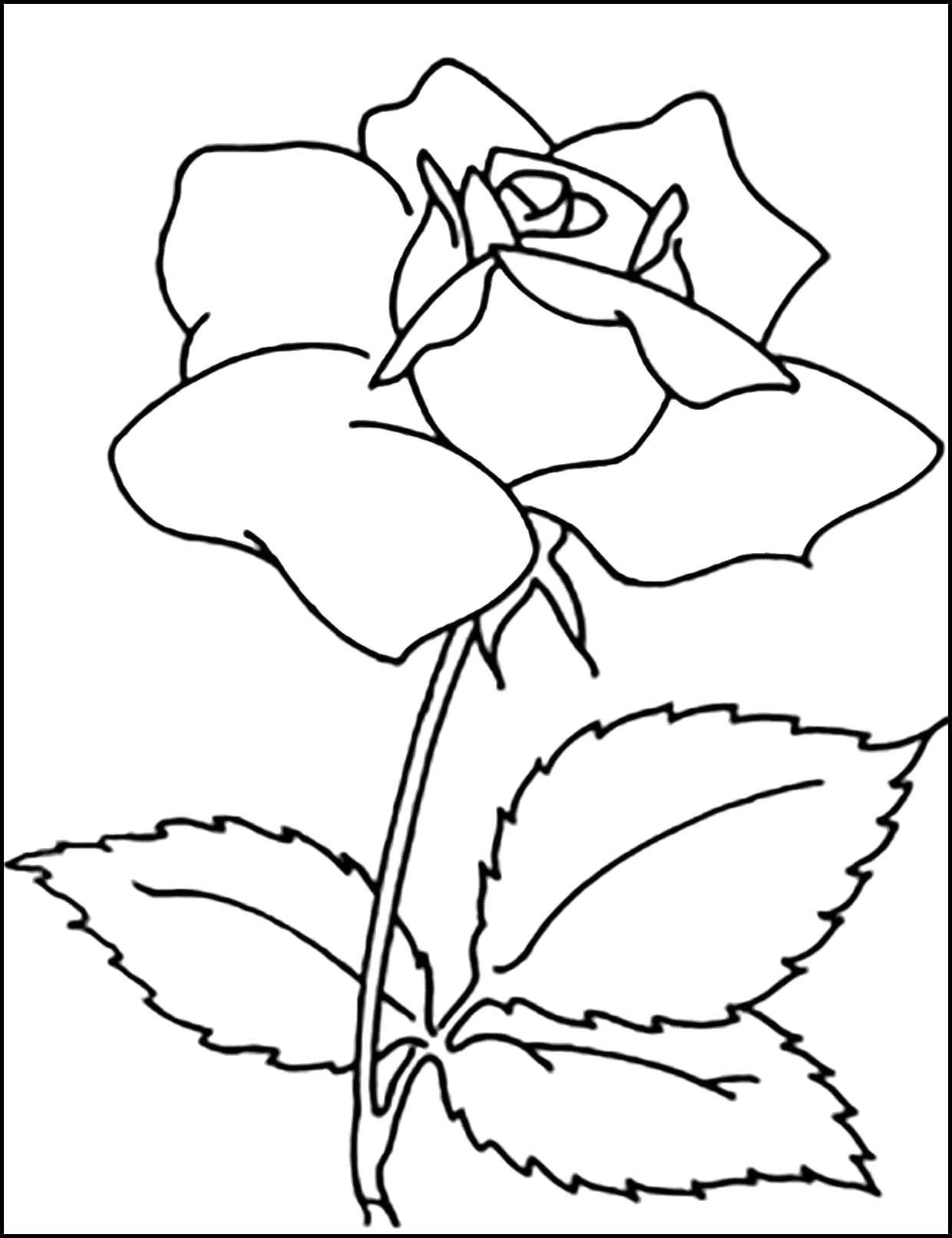 Название: Раскраска Роза. Категория: цветы. Теги: Цветы, розы.