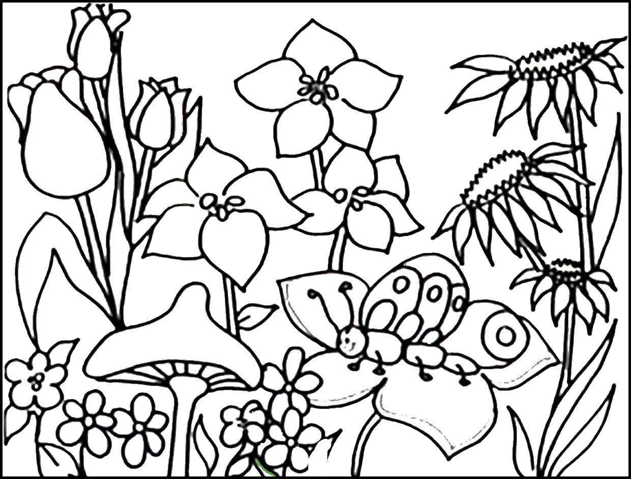 Coloring Flowers and mushrooms. Category Coloring pages for kids. Tags:  Flowers.