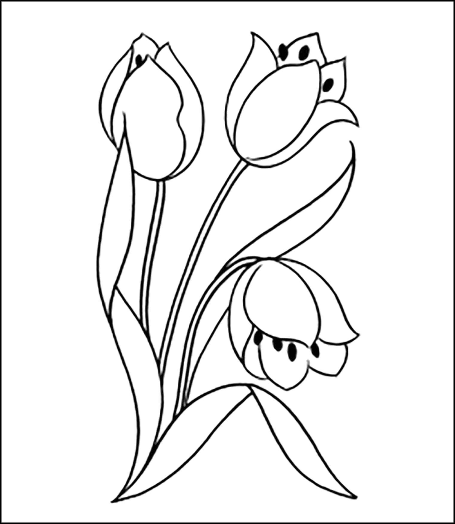 Coloring Tulips. Category flowers. Tags:  Flowers, tulips.