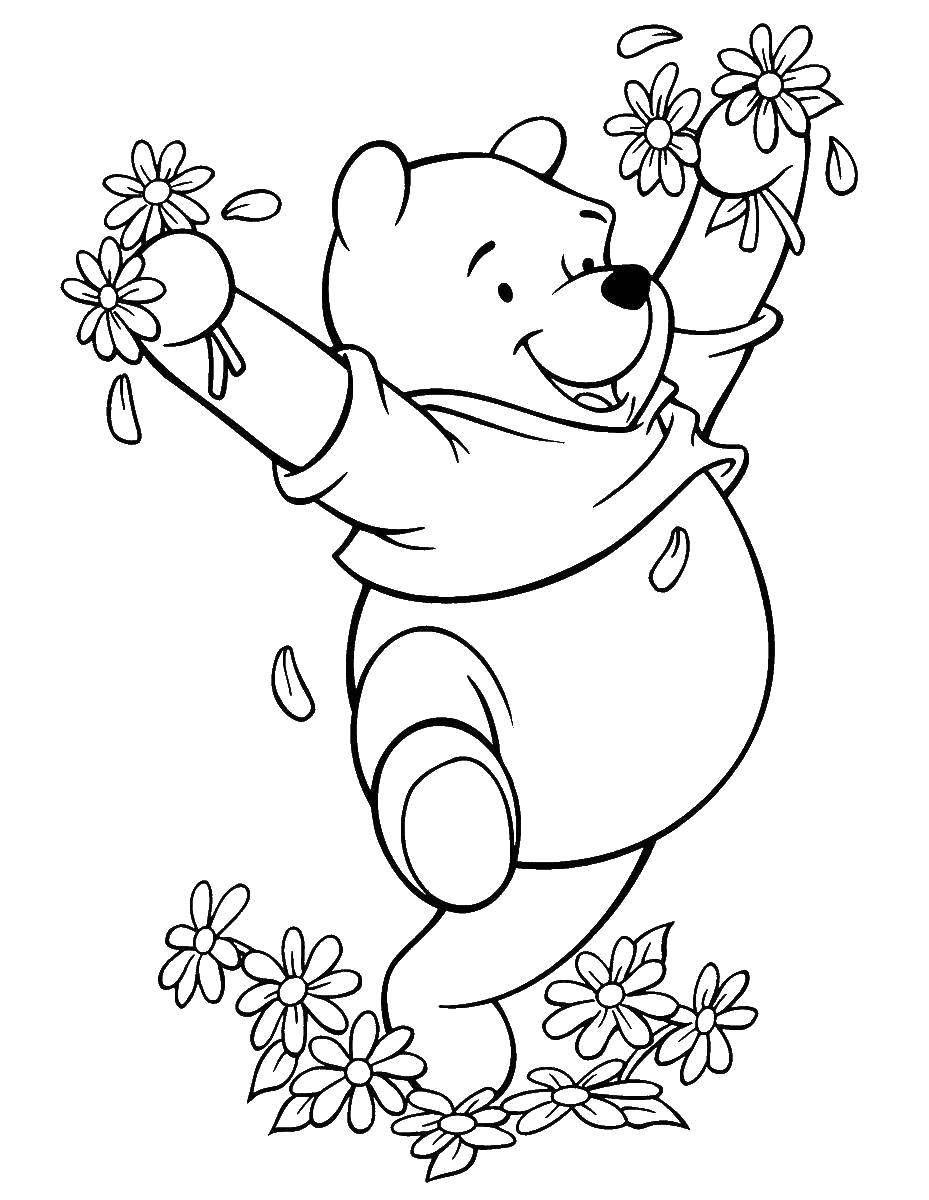 Coloring Winnie the Pooh. Category the bears with flowers. Tags:  Disney, Winnie The Pooh.