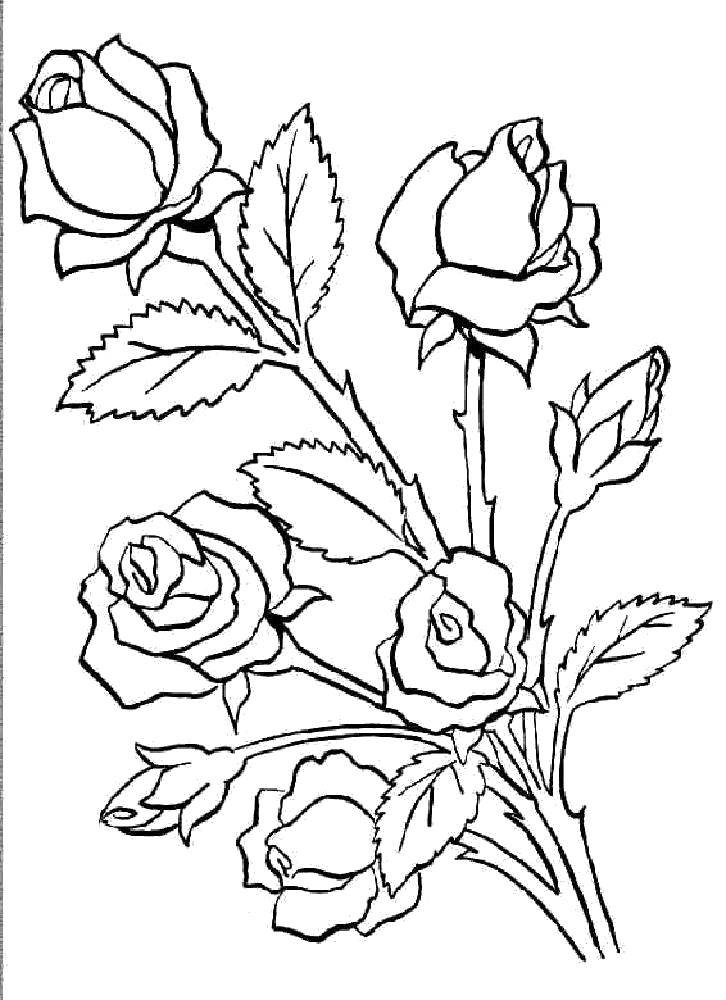 Название: Раскраска Розочки. Категория: цветы. Теги: Цветы, розы.