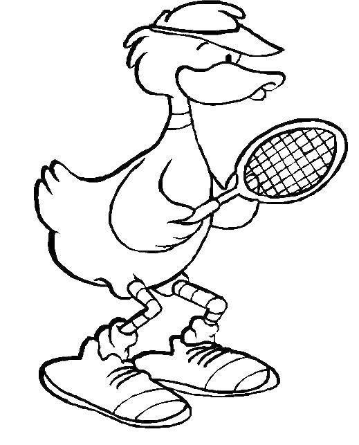 Название: Раскраска Уточка - теннисист. Категория: спорт. Теги: Спорт, теннис, ракетка.
