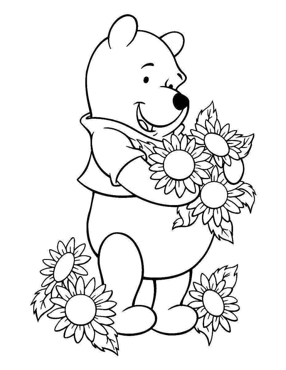 Coloring Winnie the Pooh with sunflowers. Category flowers. Tags:  Flowers, sunflower.