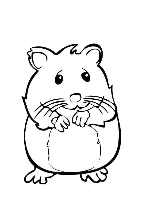Coloring Mouse. Category Animals. Tags:  Animals, mouse.