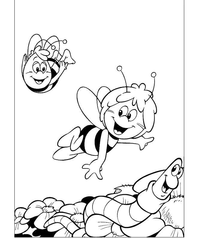 Розмальовки  Бджілка майя. Завантажити розмальовку Персонаж з мультфільму.  Роздрукувати ,Персонаж з мультфільму,