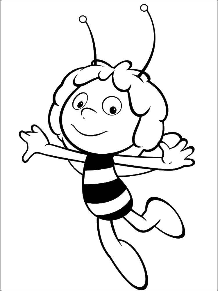 Название: Раскраска Пчелка майя. Категория: Персонаж из мультфильма. Теги: Персонаж из мультфильма, Пчелка майя.