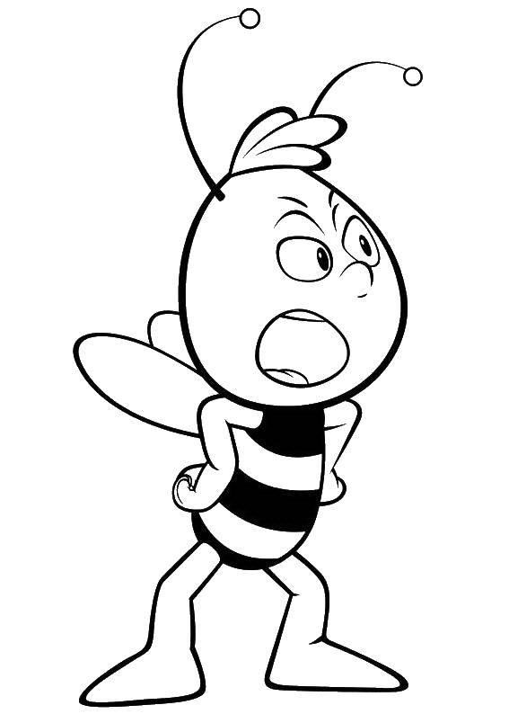 Название: Раскраска Пчелка. Категория: Персонаж из мультфильма. Теги: Персонаж из мультфильма, Пчелка майя.