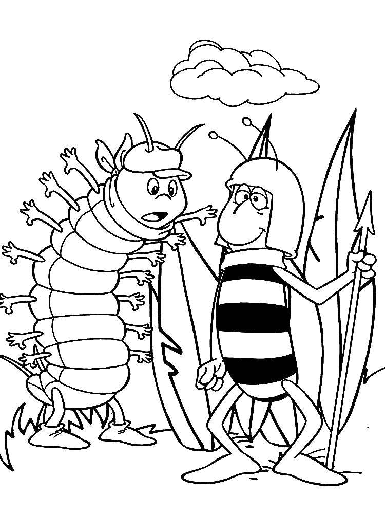 Название: Раскраска Персонажи из мультфильма пчёлка майя. Категория: Персонаж из мультфильма. Теги: Персонаж из мультфильма, Пчелка майя.