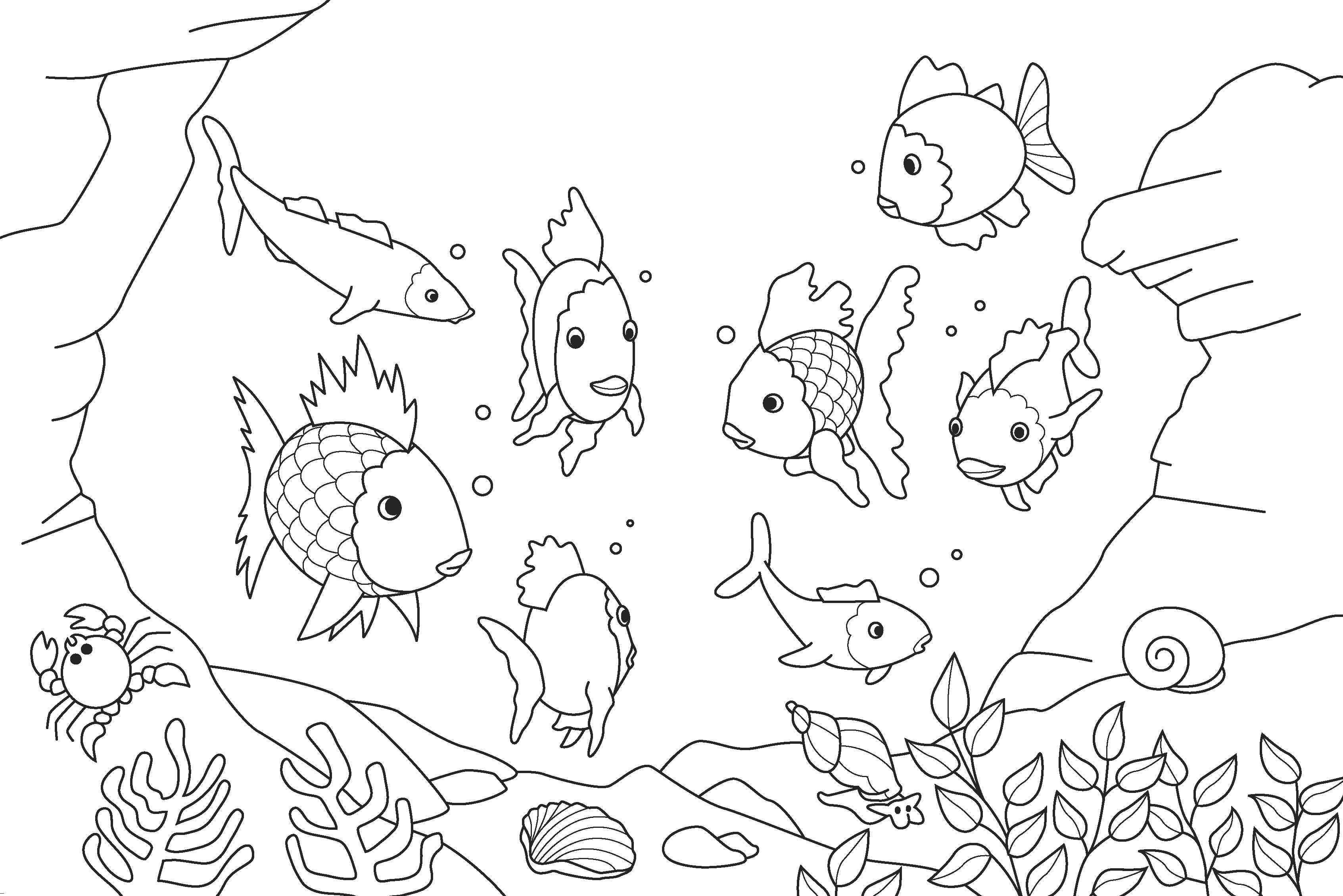 Розмальовки  Різні види риб, що пливуть разом. Завантажити розмальовку Підводний світ, риба.  Роздрукувати ,риби,