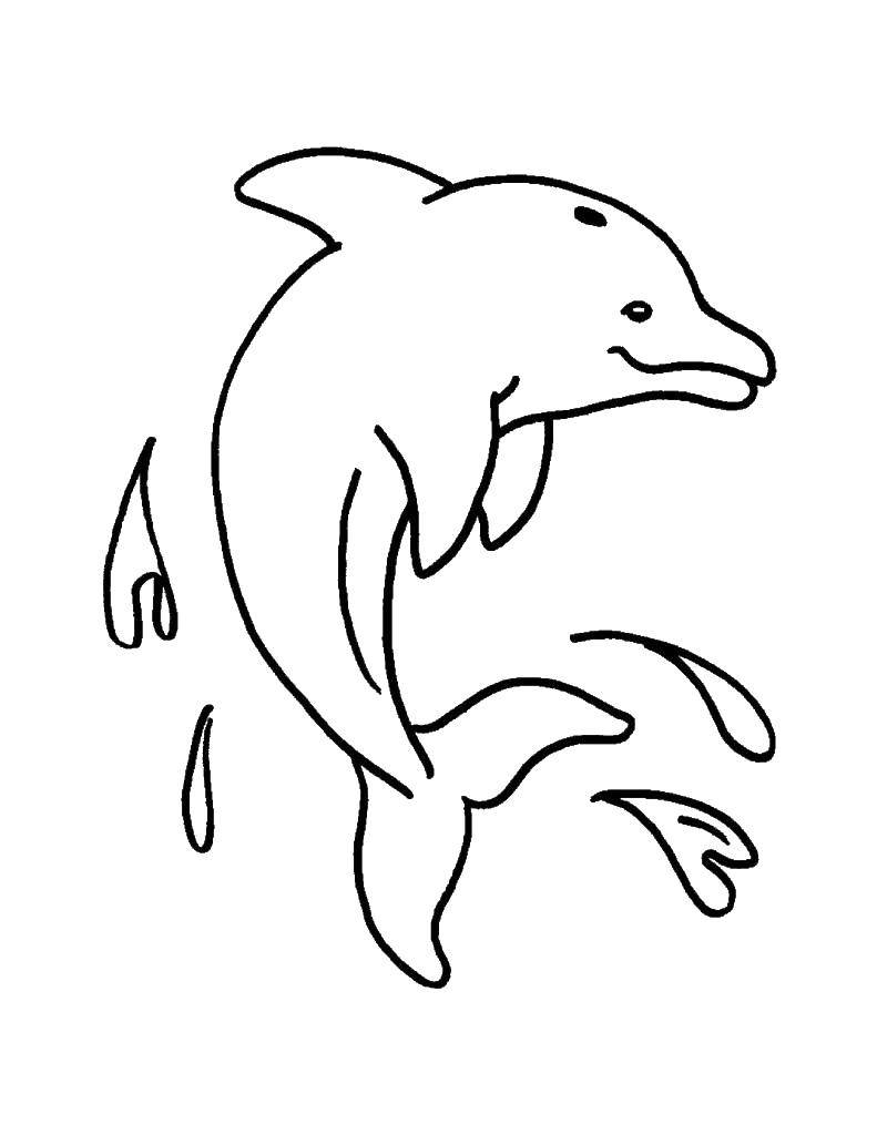 Название: Раскраска Дельфинчик. Категория: морское. Теги: Подводный мир, дельфин.