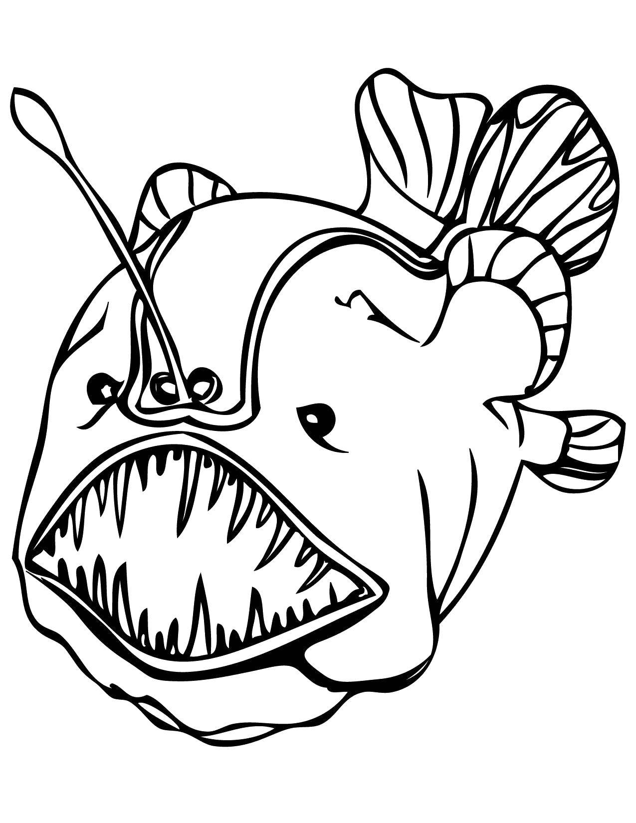 Название: Раскраска Европейский удильщик морской чёрт. Категория: рыбы. Теги: Подводный мир, рыба.