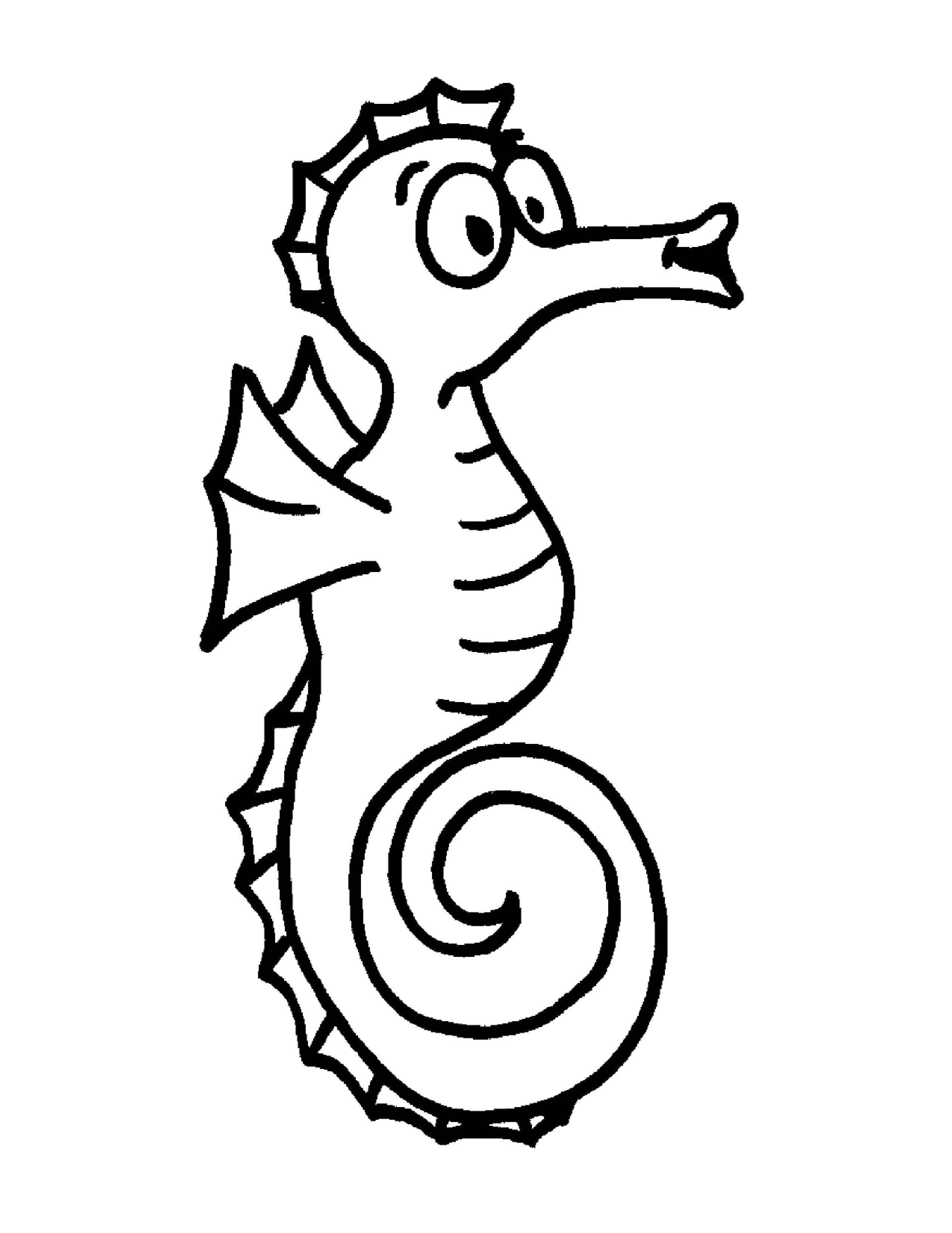 Название: Раскраска Морской конёк. Категория: морское. Теги: Подводный мир, морские коньки.