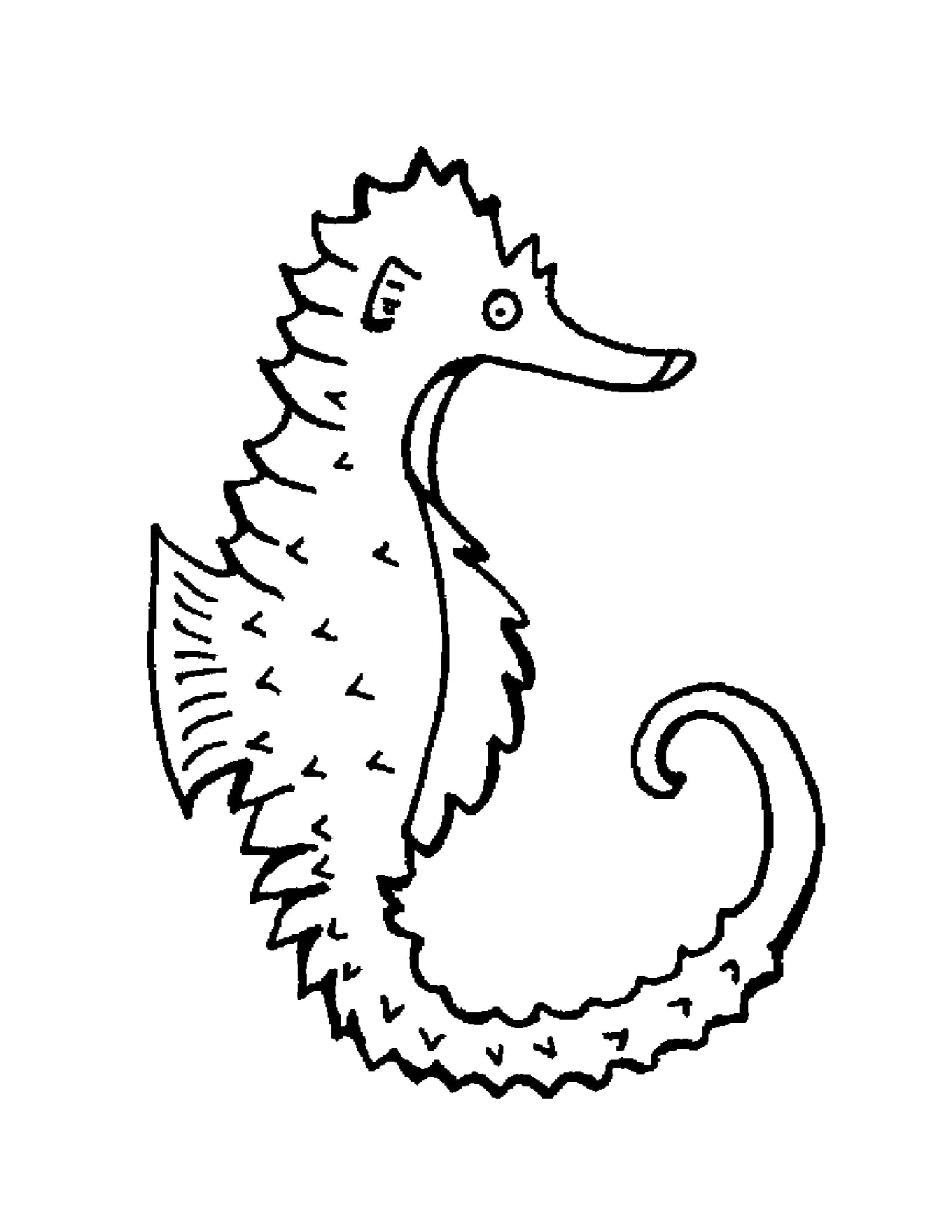 Coloring Seahorse. Category marine. Tags:  Underwater world, seahorses.