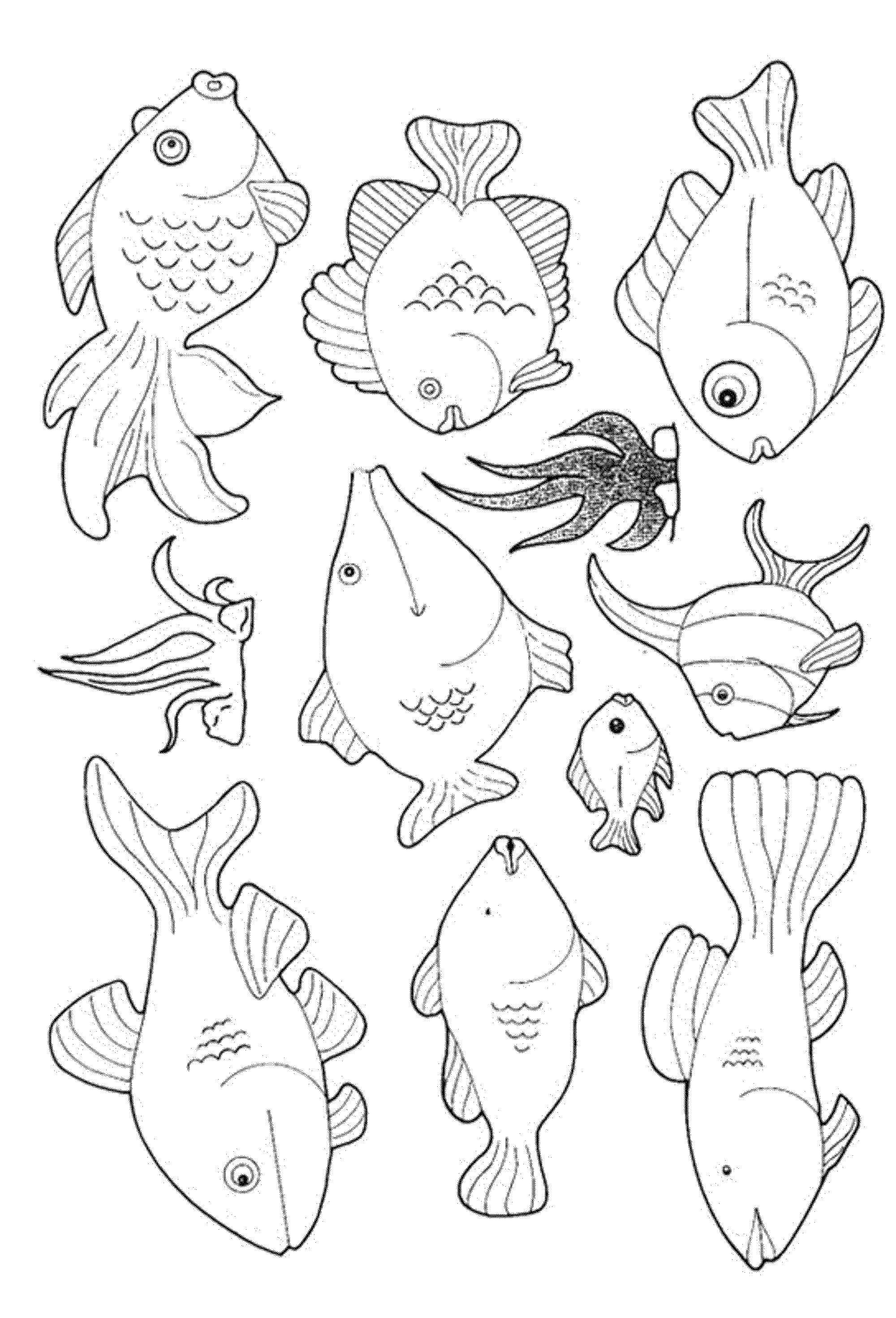 Название: Раскраска Различные виды рыб. Категория: рыбы. Теги: Подводный мир, рыба.
