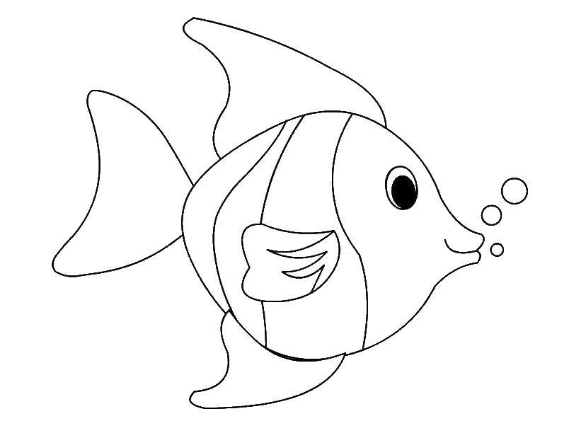 Название: Раскраска Рыбка пускает пызури под водой. Категория: рыбы. Теги: Подводный мир, рыба.