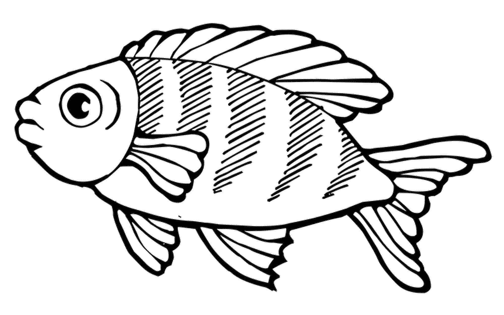 Название: Раскраска Рыбка. Категория: рыбы. Теги: Рыбы, вода.