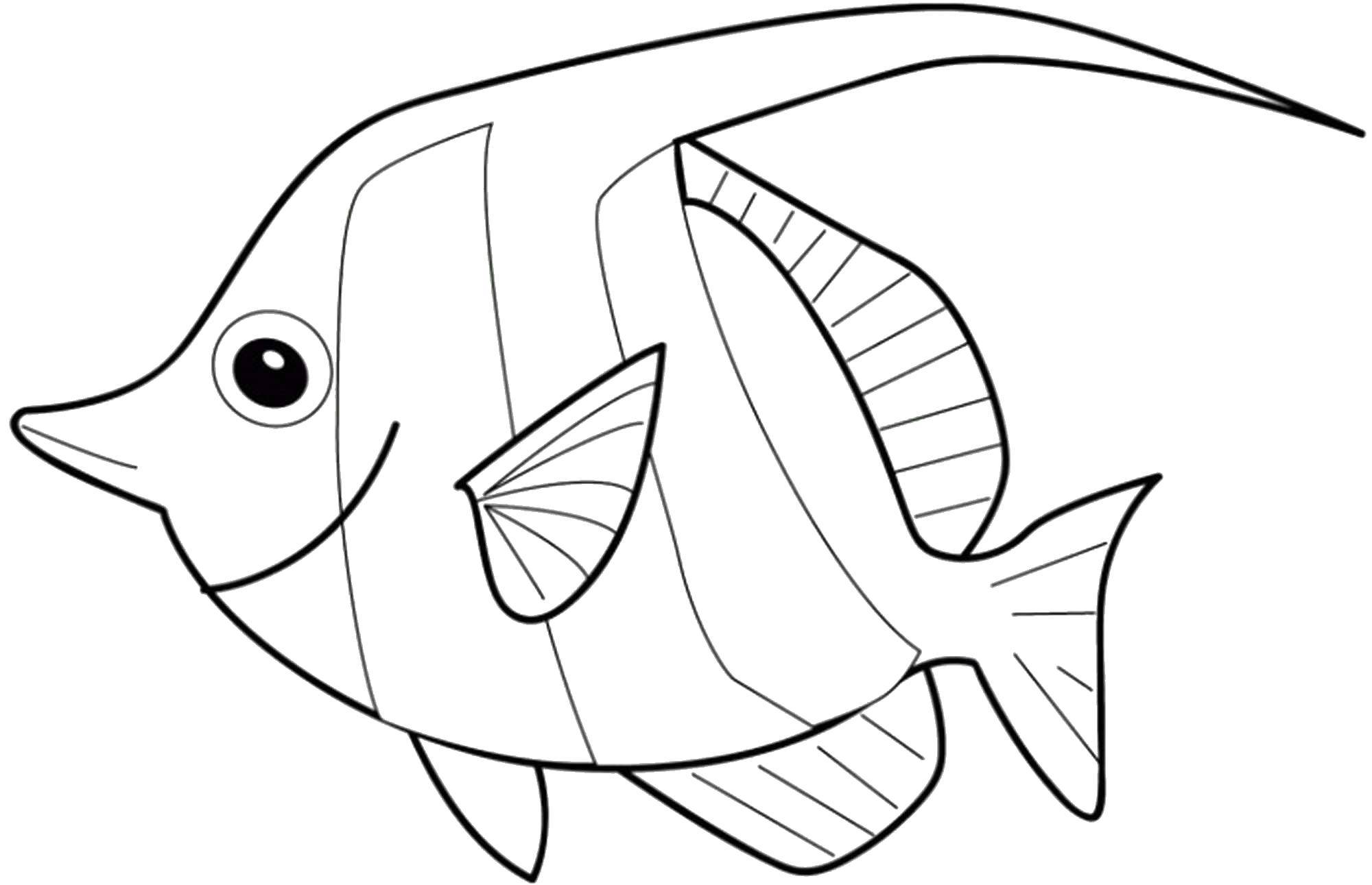 Название: Раскраска Рыбка. Категория: рыбы. Теги: Подводный мир, рыба.