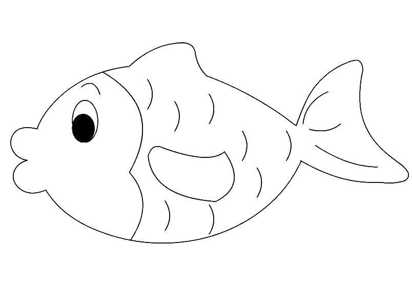 Название: Раскраска Смешная рыбка. Категория: рыбы. Теги: Подводный мир, рыба.