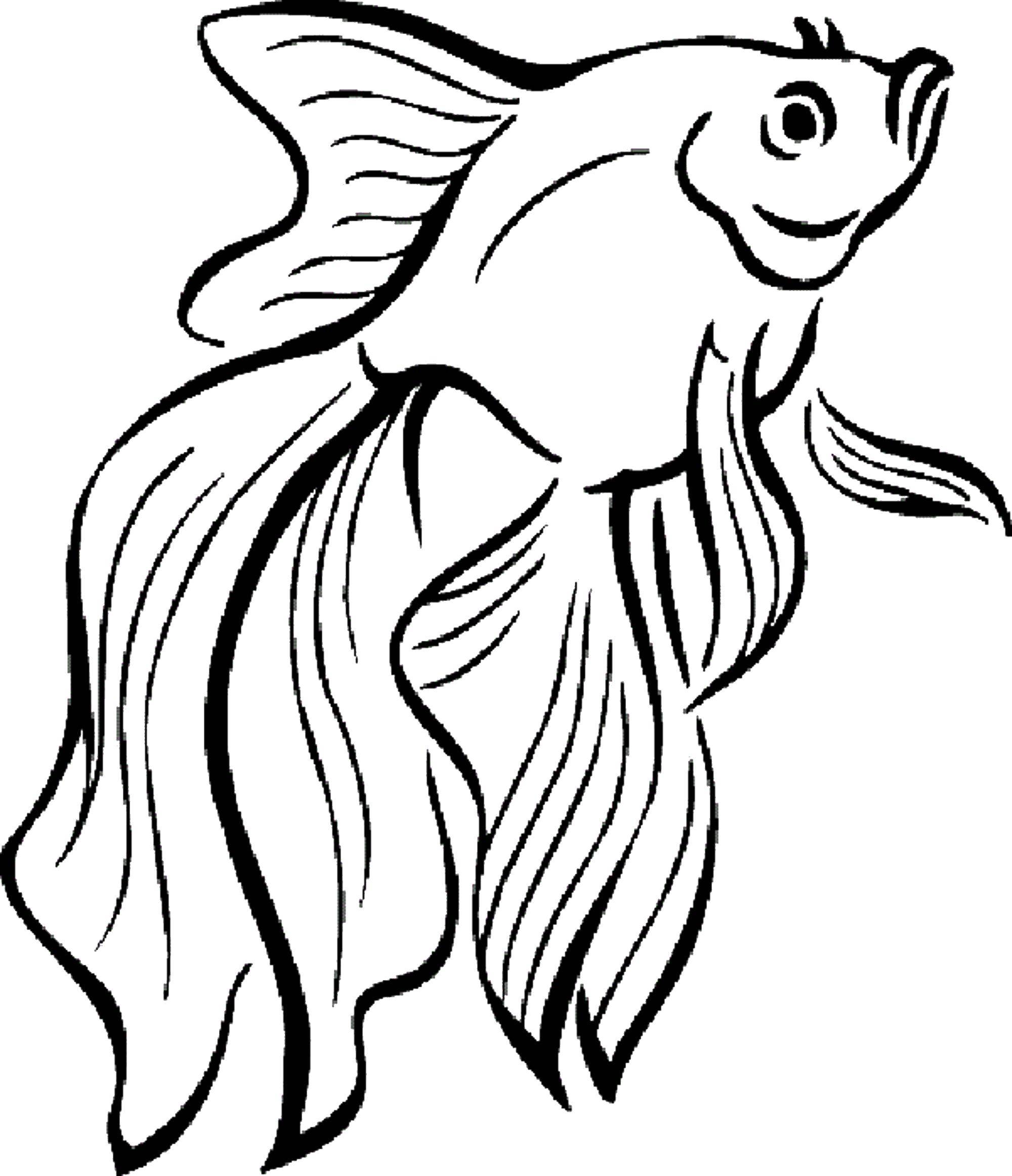 Название: Раскраска Золотая рыбка. Категория: рыбы. Теги: Подводный мир, золотая рыбка.