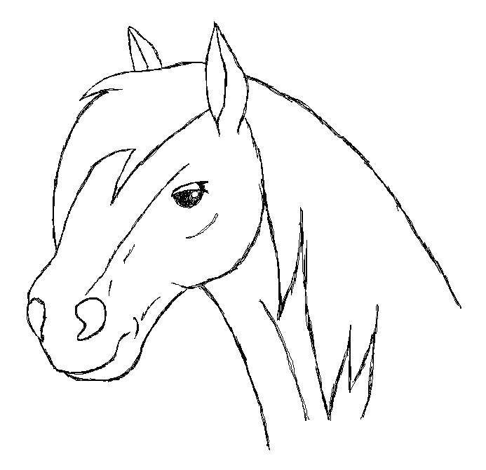 Название: Раскраска Благородная лошадь. Категория: Животные. Теги: Животные, лошадь.