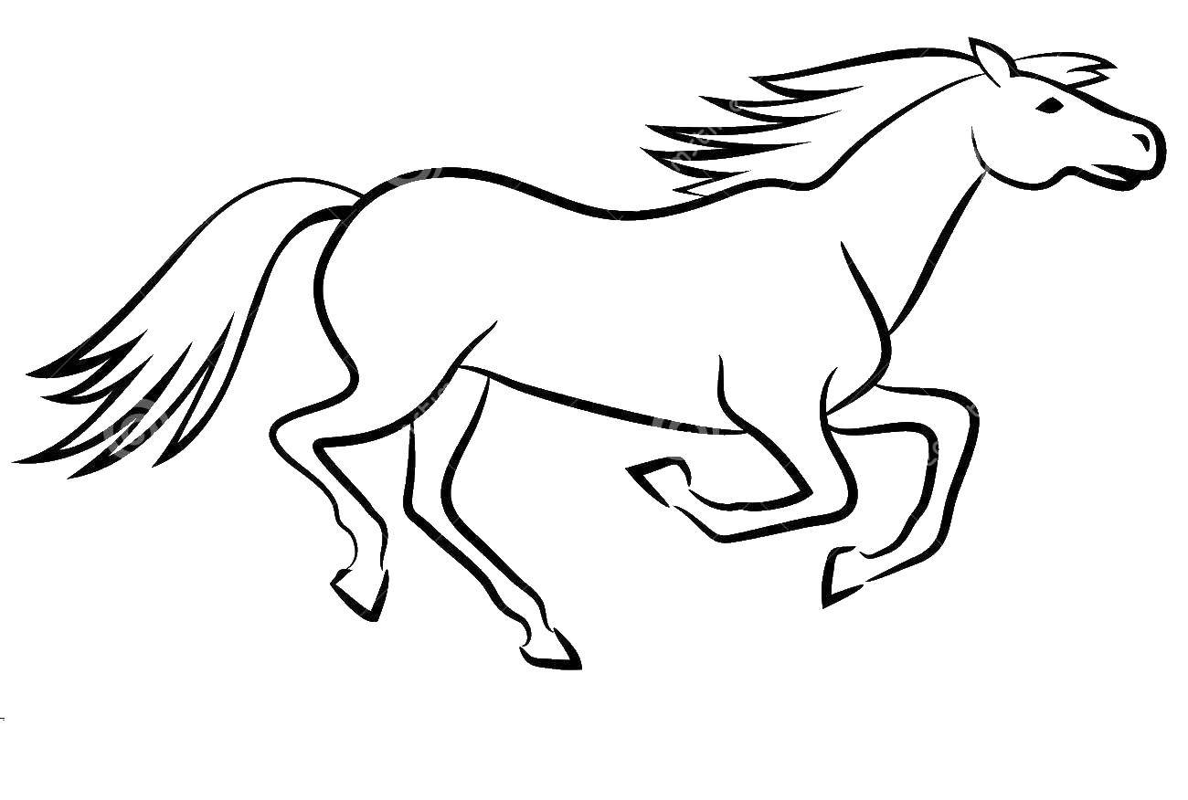 Название: Раскраска Быстрая лошадь. Категория: Животные. Теги: Животные, лошадь.