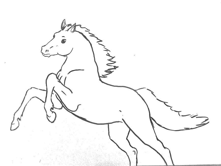 Название: Раскраска Грациозная лошадь. Категория: Животные. Теги: Животные, лошадь.
