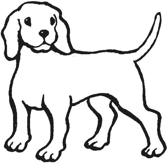 Название: Раскраска Контур собаки. Категория: контуры собаки. Теги: Контур, собака.
