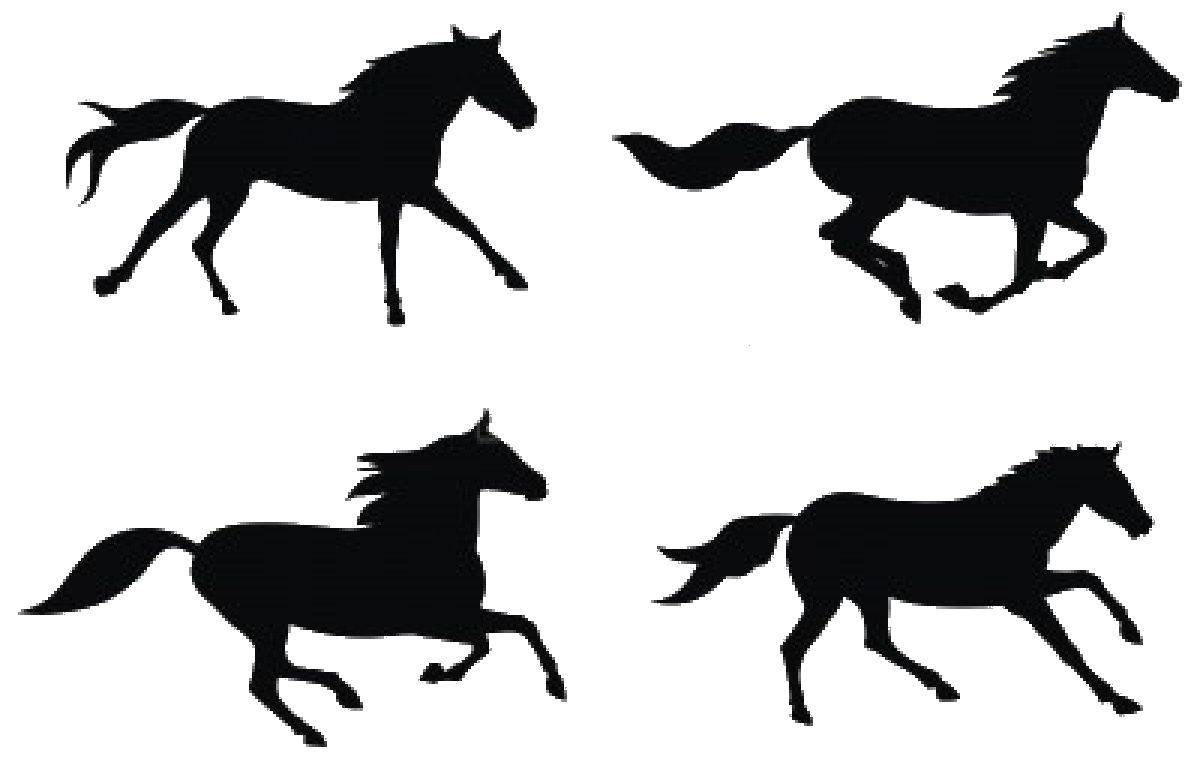 Название: Раскраска Контуры лошадей. Категория: контуры лошади. Теги: Контур, лошадь.