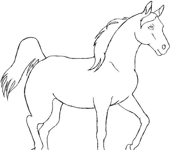 Название: Раскраска Красивая лошадь. Категория: Животные. Теги: Животные, лошадь.