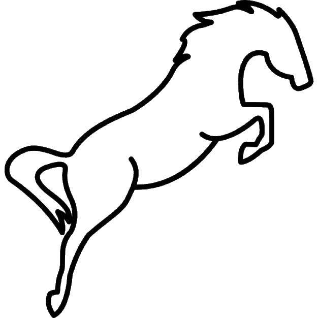 Название: Раскраска Силуэт лошади. Категория: контуры лошади. Теги: Контур, лошадь.