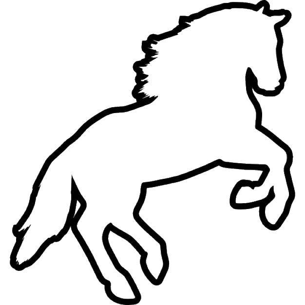 Coloring Horse silhouette. Category the contours of the horse. Tags:  Contour, horse.