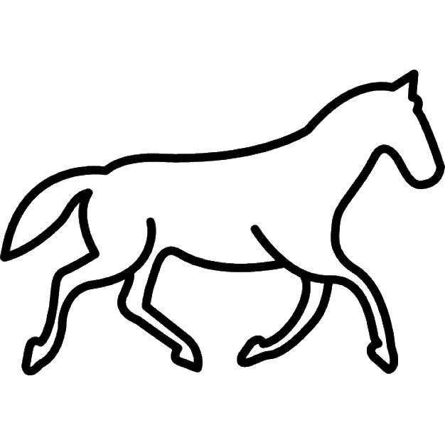 Coloring Horse silhouette. Category the contours of the horse. Tags:  Contour, horse.