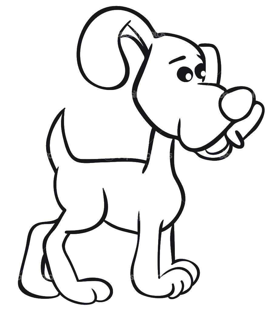 Coloring Dog. Category Animals. Tags:  Animals, dog.