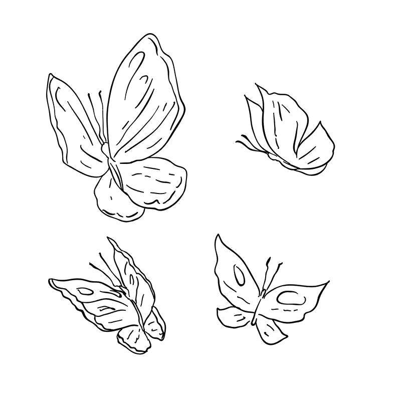 Coloring Butterfly. Category butterfly. Tags:  Butterfly.