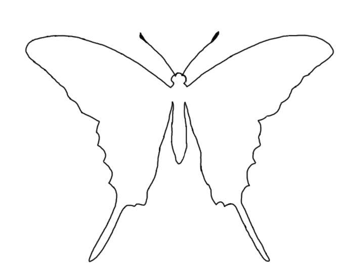 Coloring The outline of the butterfly. Category the contours for cutting out butterflies. Tags:  Outline , butterfly.