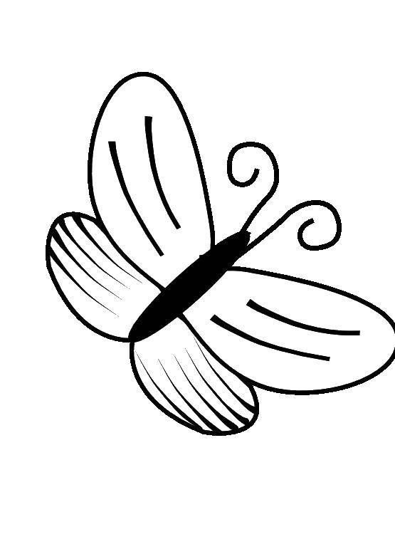 Название: Раскраска Контур бабочки. Категория: контуры для вырезания бабочек. Теги: Контур, бабочка.