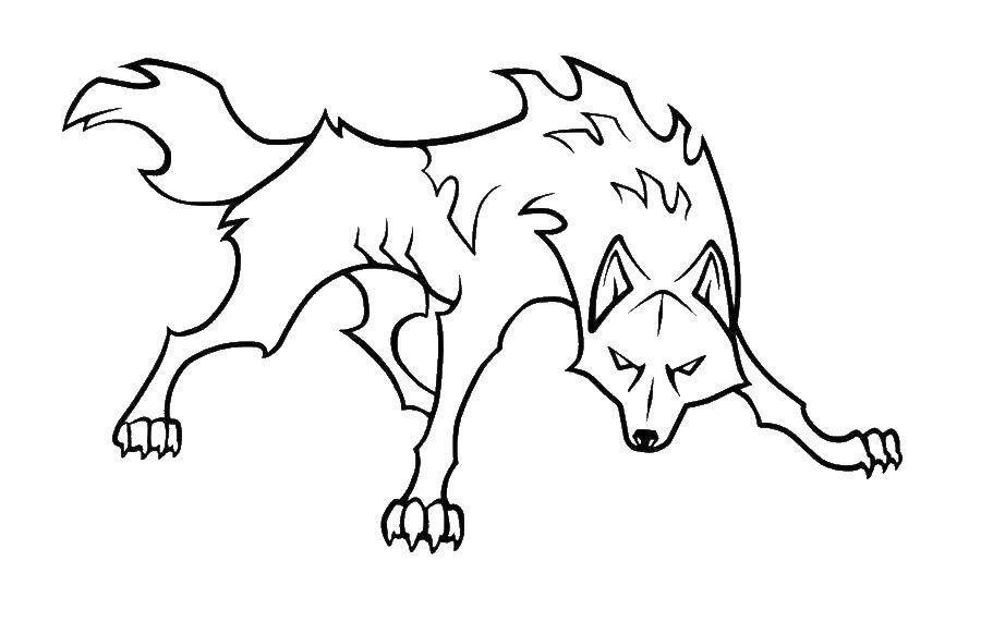 Название: Раскраска Контур волка. Категория: контур волка. Теги: Контур, волк.