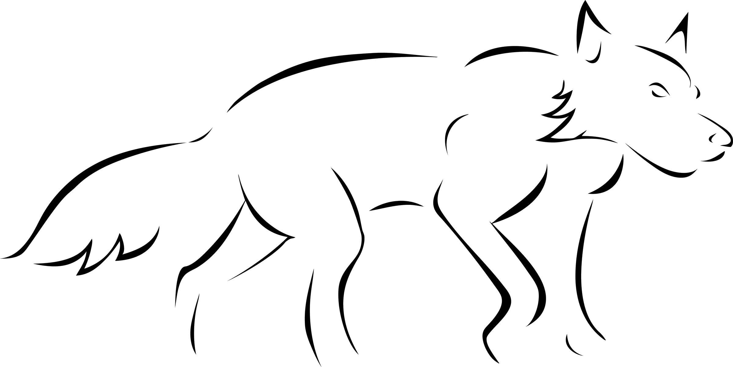 Coloring The outline of the wolf. Category contour of wolf. Tags:  Contour , wolf, .