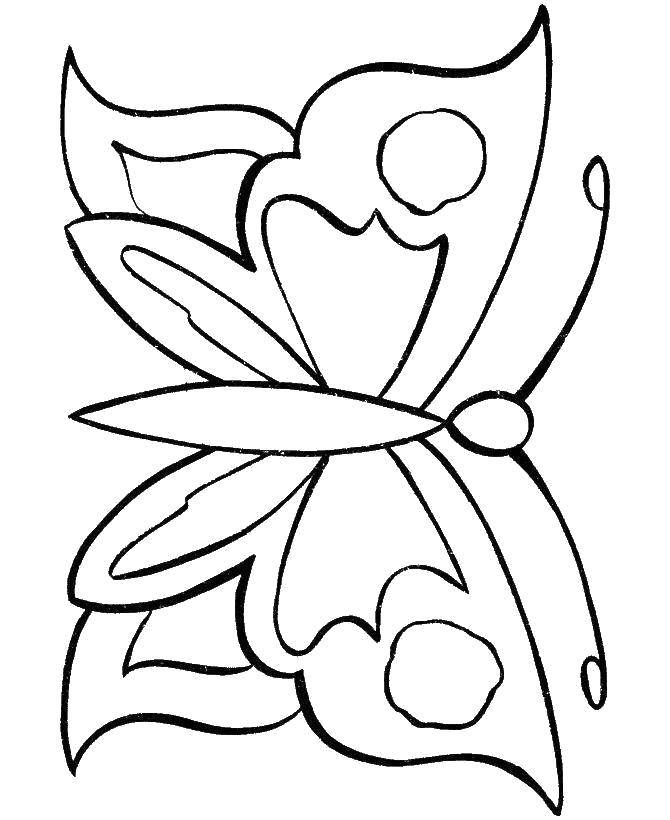 Coloring Beautiful butterfly. Category the contours for cutting out butterflies. Tags:  Outline , butterfly.