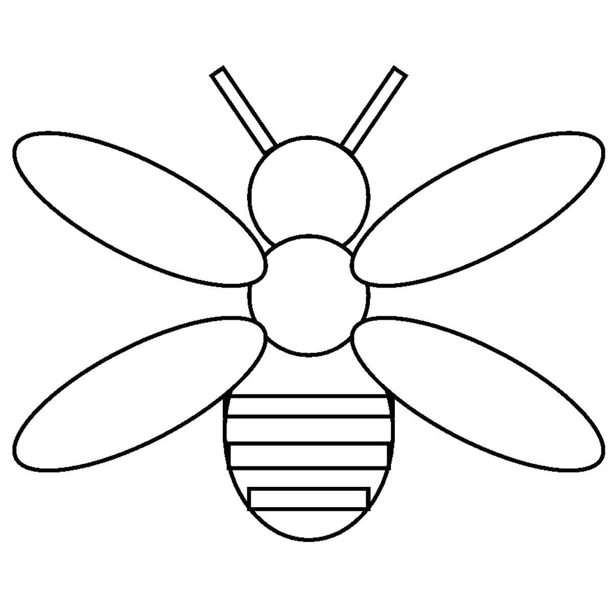 Название: Раскраска Пчёлка. Категория: простые раскраски. Теги: Пчела, мёд.