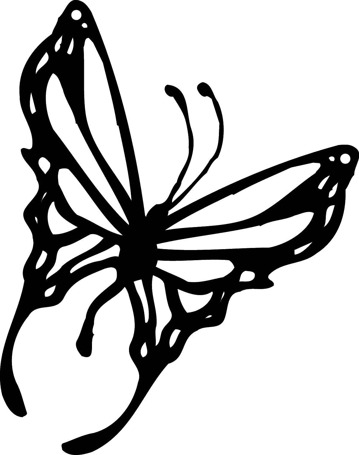 Coloring The butterfly silhouette. Category the contours for cutting out butterflies. Tags:  Outline , butterfly.