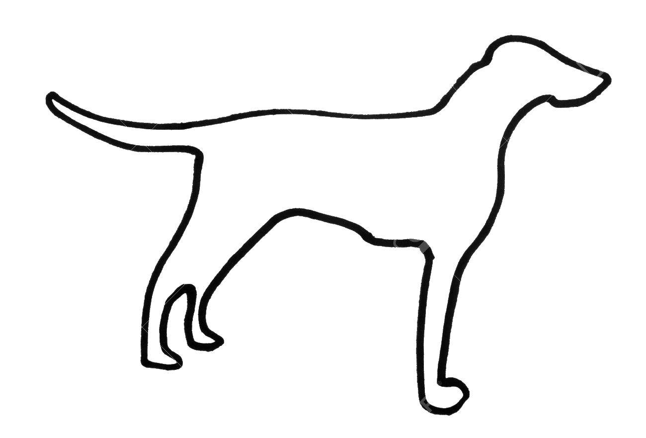 Название: Раскраска Силуэт собаки. Категория: контуры собаки. Теги: Контур, собака.