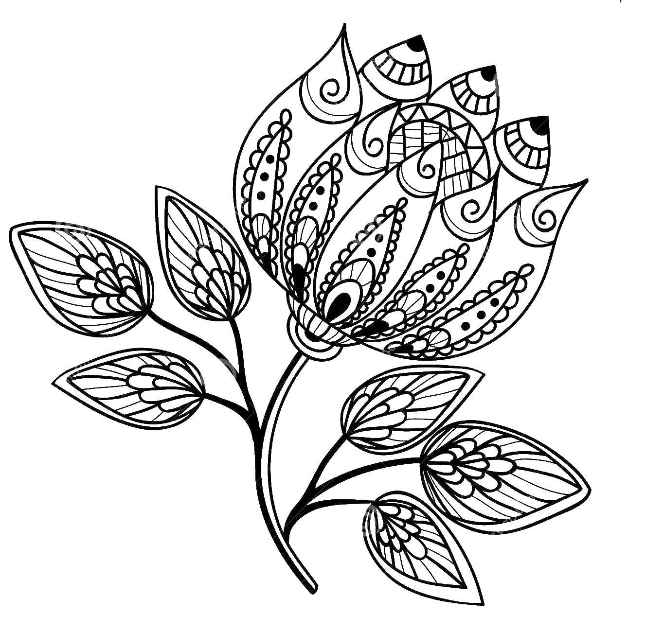 Coloring Patterned flower. Category the contours for cutting out butterflies. Tags:  Flowers, pattern.