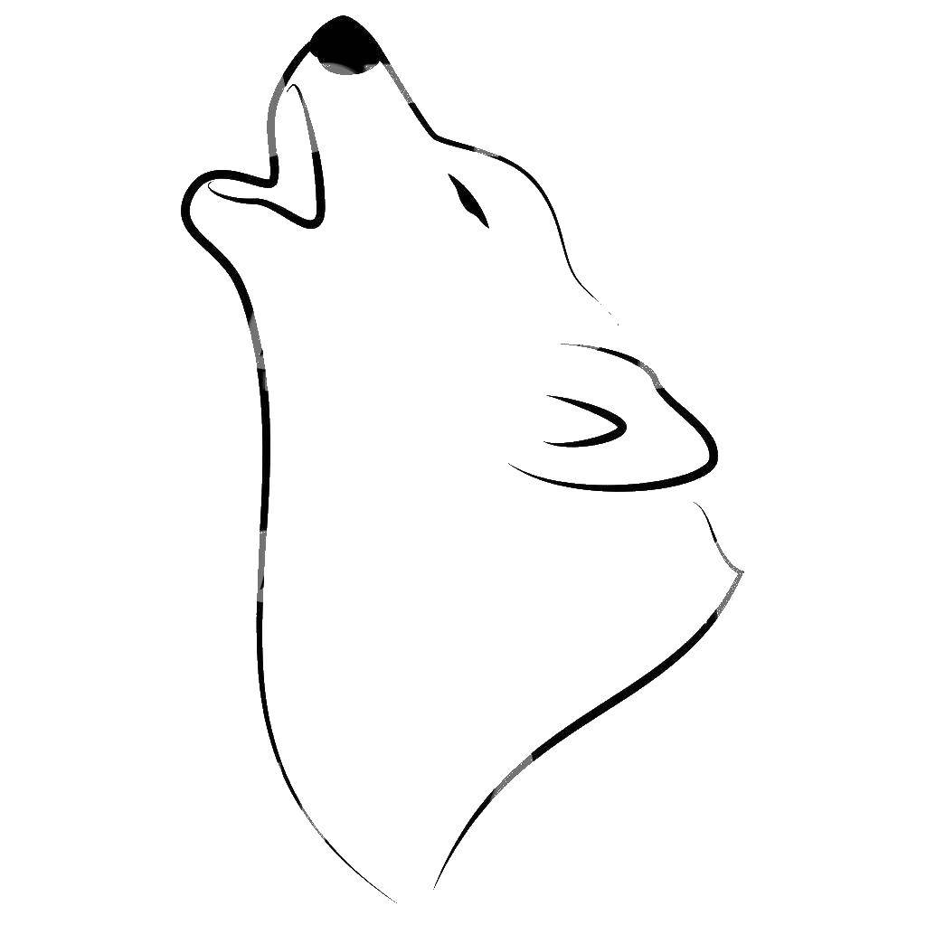 Coloring The howling wolf. Category contour of wolf. Tags:  Contour , wolf, .