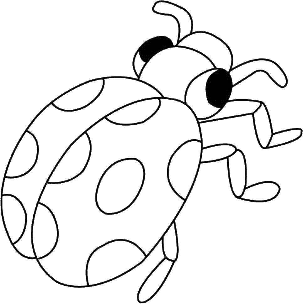 Coloring Ladybug. Category Animals. Tags:  Bogaciova.