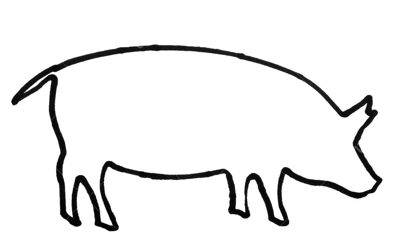 Coloring The outline of the animal. Category The contours of animals. Tags:  Contour , animals.