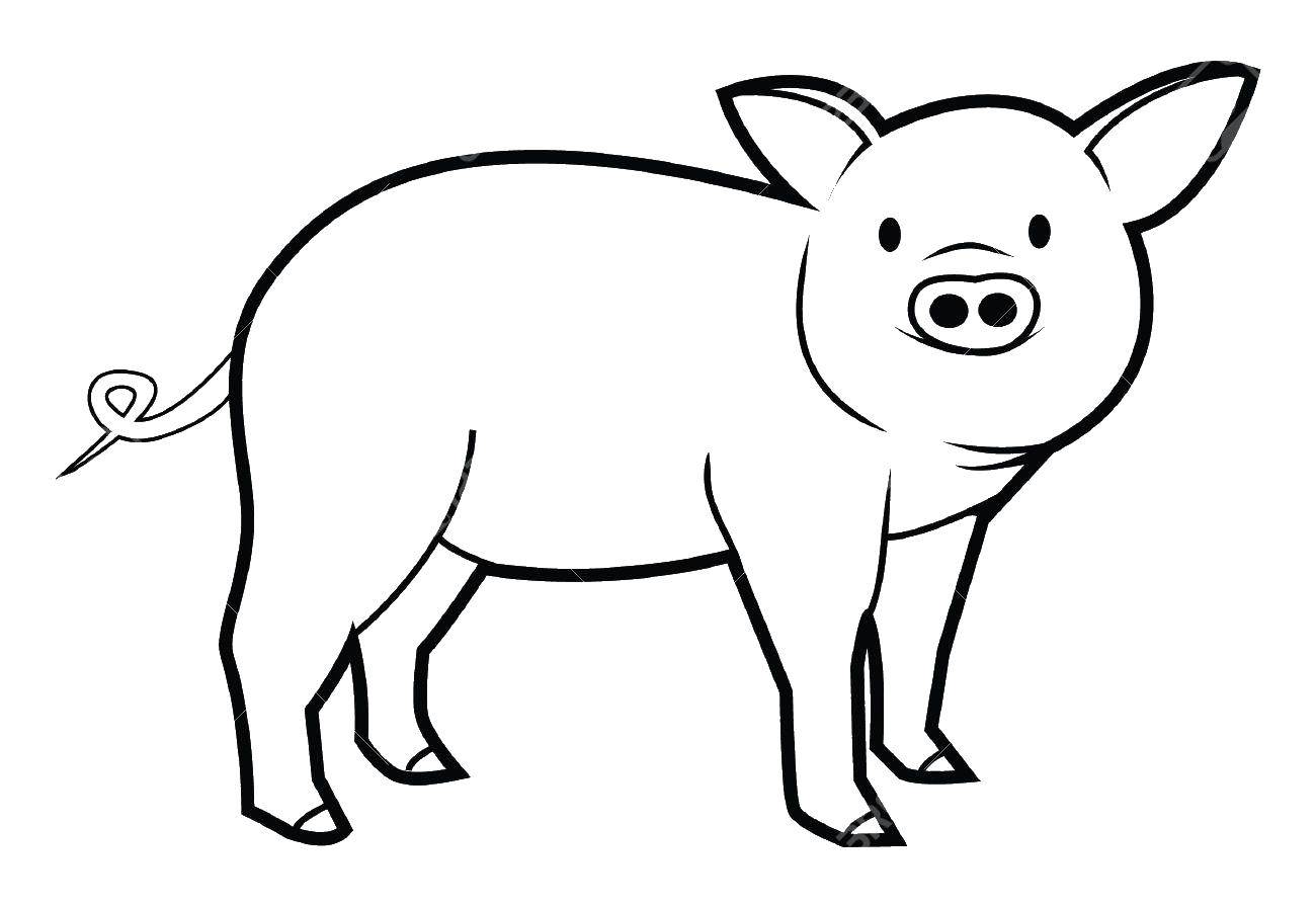 Название: Раскраска Поросёнок. Категория: домашние животные. Теги: Животные, свинка.